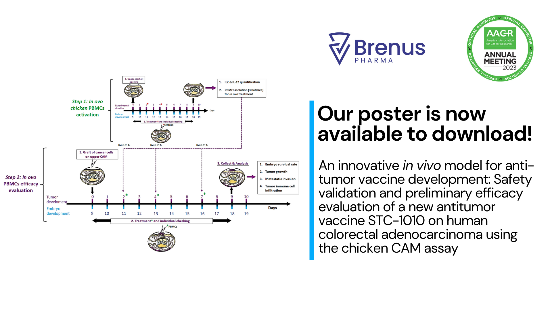 Download our Poster with BRENUS at AACR - Inovotion - Which molecule ...