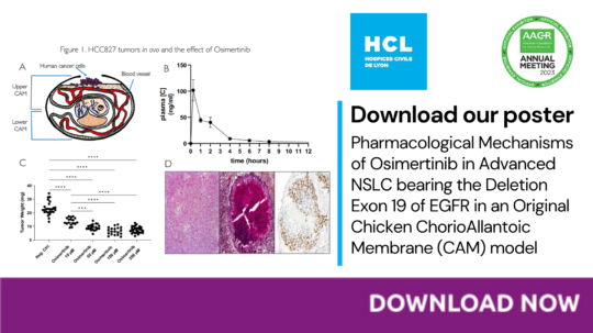 HCL (4)