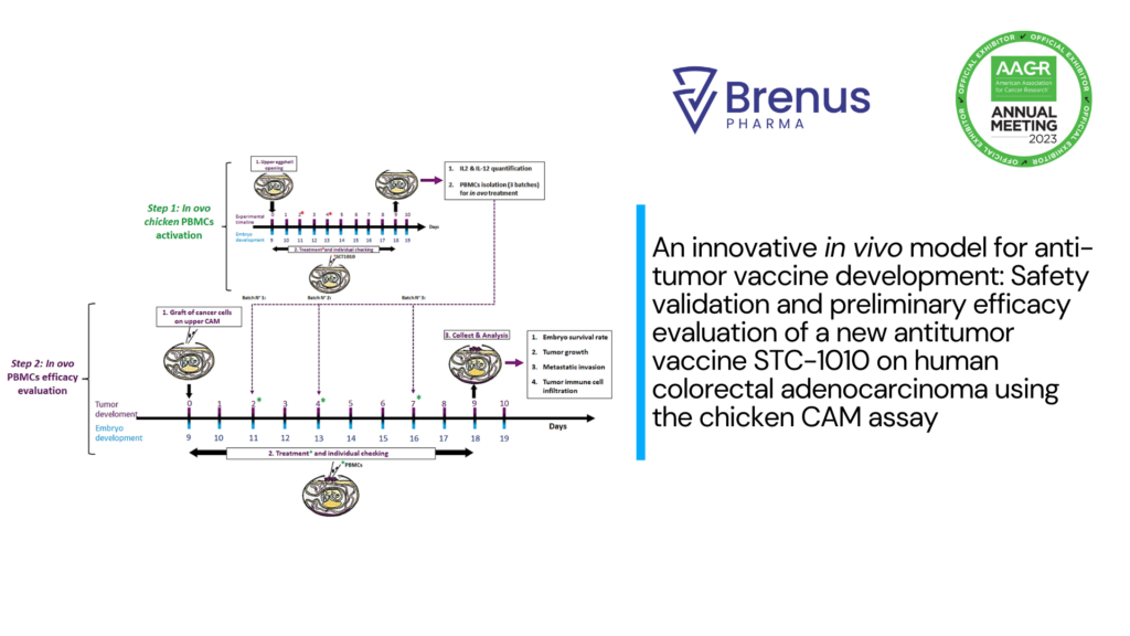 Brenus-Site-1024x576.png