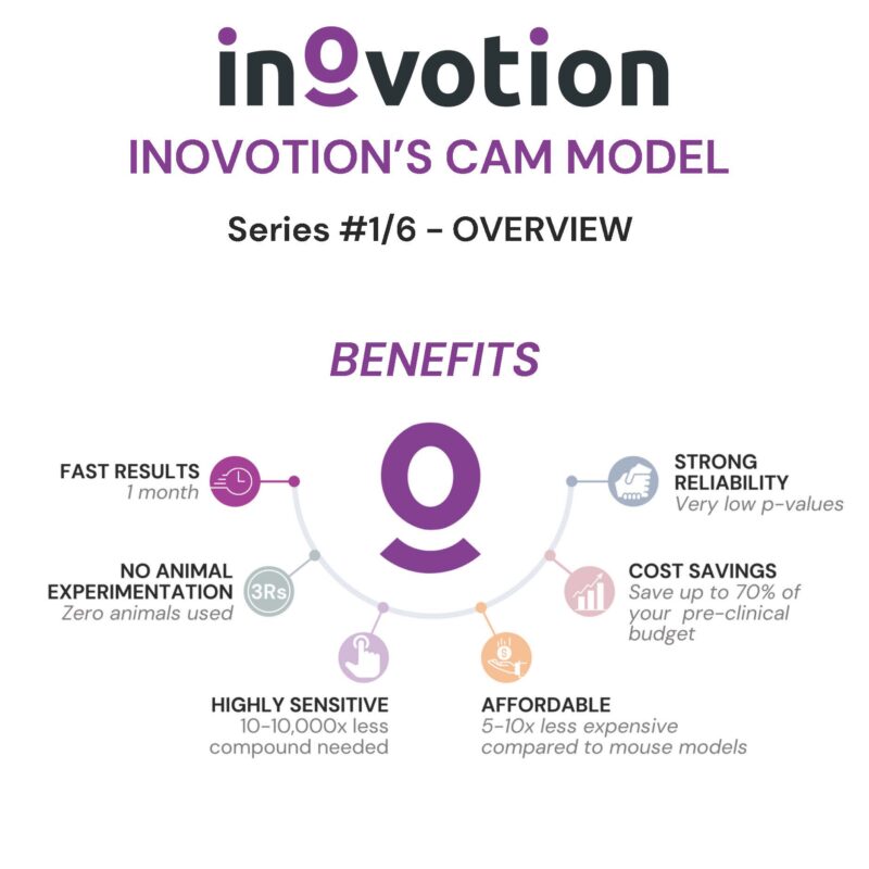 Eté 2024 - #1 sur 6 - Inovotion's CAM model - Overview (3) (1)_Page_1