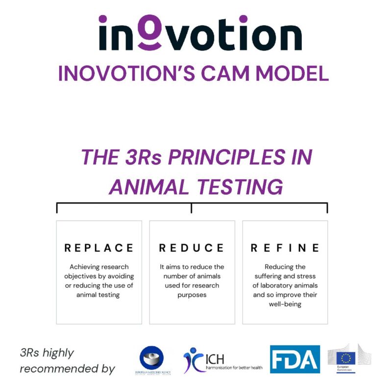Eté 2024 - #2 sur 6 - Alternative in vivo testing using Inovotion's CAM model visuel_Page_2