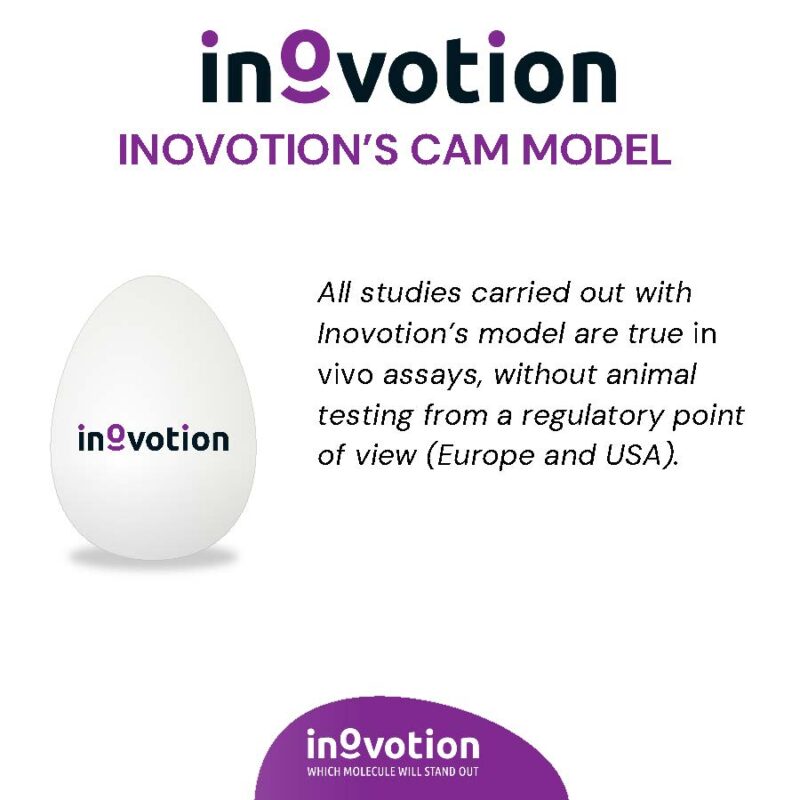 Eté 2024 - #2 sur 6 - Alternative in vivo testing using Inovotion's CAM model visuel_Page_3