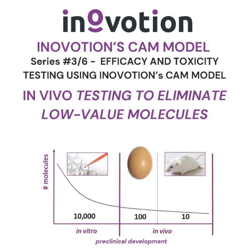 Eté 2024 - #3 sur 6 - Efficacy and Toxicity Testing using Inovotion's CAM model visuel_Page_1