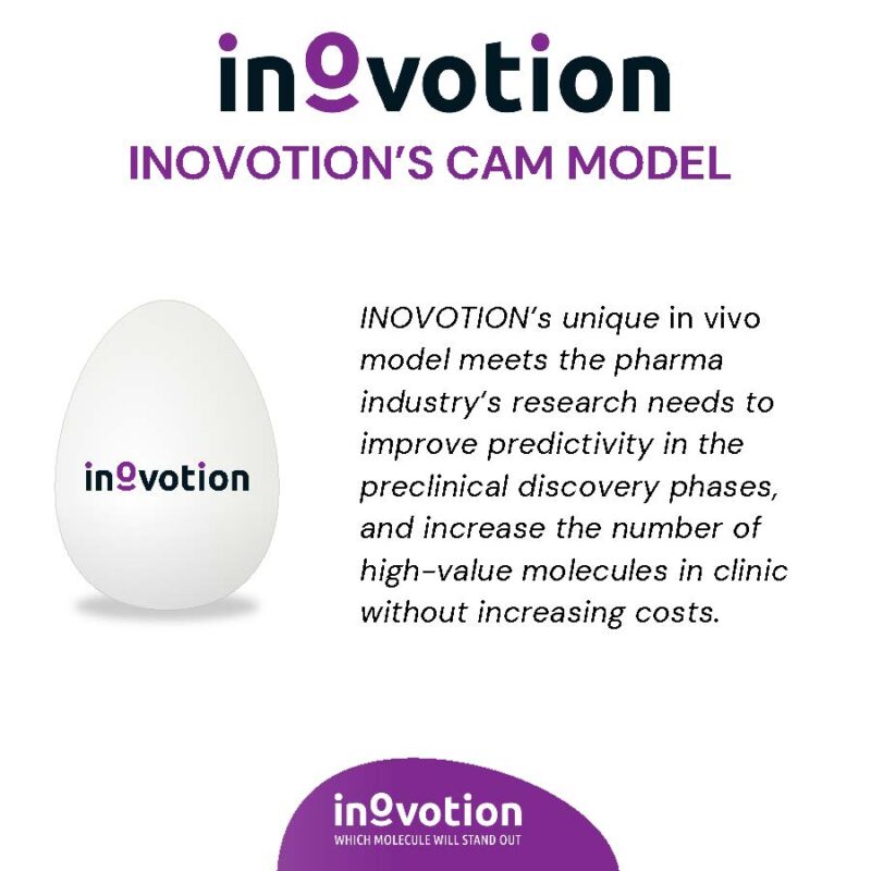 Eté 2024 - #3 sur 6 - Efficacy and Toxicity Testing using Inovotion's CAM model visuel_Page_2
