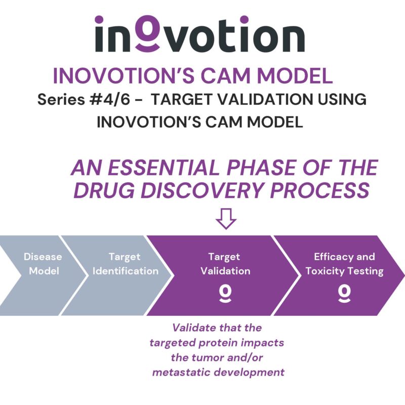Eté 2024 - #4 sur 6 - Target Validation using Inovotion's CAM model (1)_Page_1