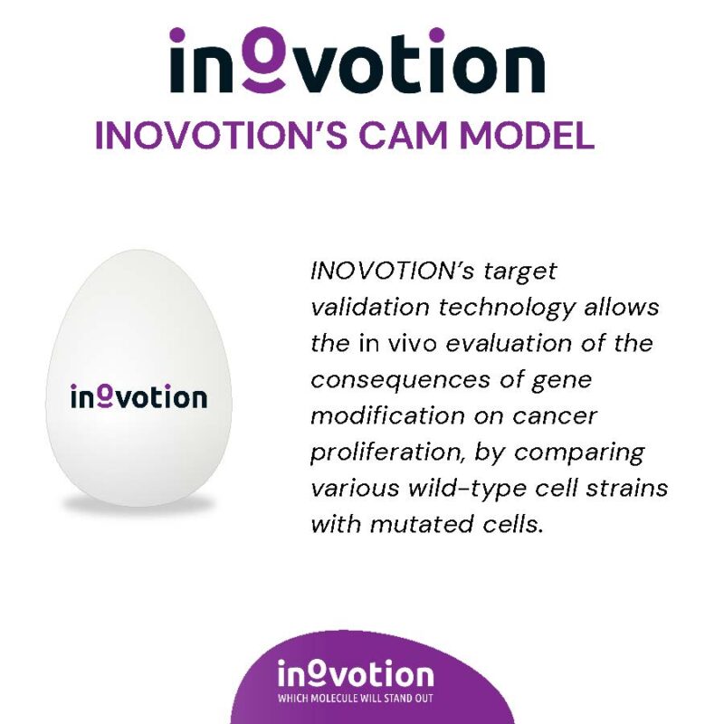 Eté 2024 - #4 sur 6 - Target Validation using Inovotion's CAM model (1)_Page_2