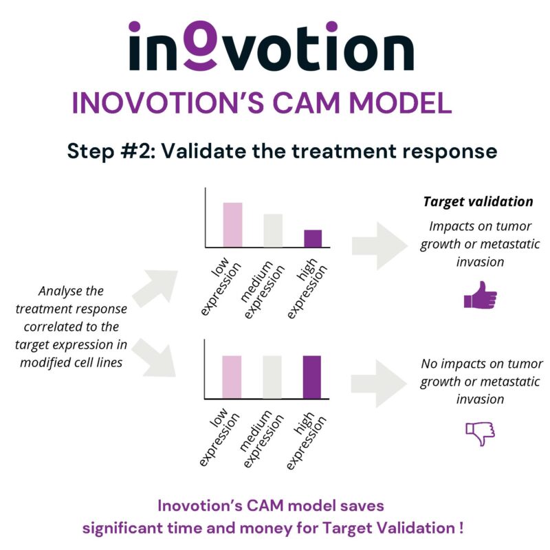 Eté 2024 - #4 sur 6 - Target Validation using Inovotion's CAM model (1)_Page_4