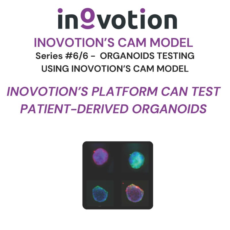 Eté 2024 - #6 sur 6 - Organoids for Personalized Medicine using Inovotion's CAM model_Page_1